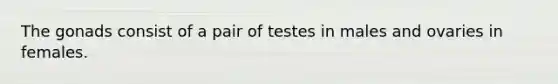 The gonads consist of a pair of testes in males and ovaries in females.