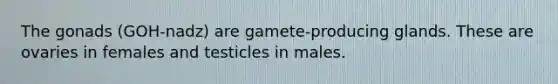 The gonads (GOH-nadz) are gamete-producing glands. These are ovaries in females and testicles in males.
