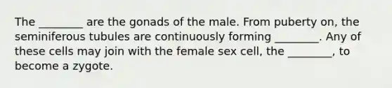 The ________ are the gonads of the male. From puberty on, the seminiferous tubules are continuously forming ________. Any of these cells may join with the female sex cell, the ________, to become a zygote.