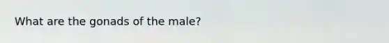 What are the gonads of the male?