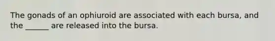 The gonads of an ophiuroid are associated with each bursa, and the ______ are released into the bursa.