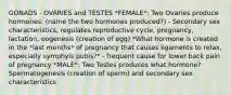 GONADS - OVARIES and TESTES *FEMALE*: Two Ovaries produce hormones: (name the two hormones produced?) - Secondary sex characteristics, regulates reproductive cycle, pregnancy, lactation, oogenesis (creation of egg) *What hormone is created in the *last months* of pregnancy that causes ligaments to relax, especially symphyis pubis?* - frequent cause for lower back pain of pregnancy *MALE*: Two Testes produces what hormone? Spermatogenesis (creation of sperm) and secondary sex characteristics