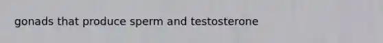 gonads that produce sperm and testosterone