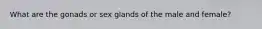 What are the gonads or sex glands of the male and female?