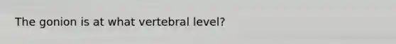 The gonion is at what vertebral level?