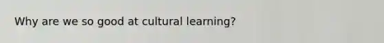 Why are we so good at cultural learning?