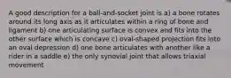 A good description for a ball-and-socket joint is a) a bone rotates around its long axis as it articulates within a ring of bone and ligament b) one articulating surface is convex and fits into the other surface which is concave c) oval-shaped projection fits into an oval depression d) one bone articulates with another like a rider in a saddle e) the only synovial joint that allows triaxial movement