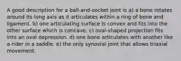 A good description for a ball-and-socket joint is a) a bone rotates around its long axis as it articulates within a ring of bone and ligament. b) one articulating surface is convex and fits into the other surface which is concave. c) oval-shaped projection fits into an oval depression. d) one bone articulates with another like a rider in a saddle. e) the only synovial joint that allows triaxial movement.