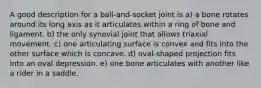 A good description for a ball-and-socket joint is a) a bone rotates around its long axis as it articulates within a ring of bone and ligament. b) the only synovial joint that allows triaxial movement. c) one articulating surface is convex and fits into the other surface which is concave. d) oval-shaped projection fits into an oval depression. e) one bone articulates with another like a rider in a saddle.