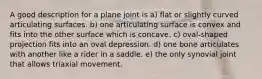 A good description for a plane joint is a) flat or slightly curved articulating surfaces. b) one articulating surface is convex and fits into the other surface which is concave. c) oval-shaped projection fits into an oval depression. d) one bone articulates with another like a rider in a saddle. e) the only synovial joint that allows triaxial movement.