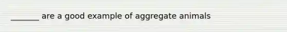 _______ are a good example of aggregate animals