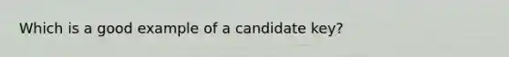 Which is a good example of a candidate key?