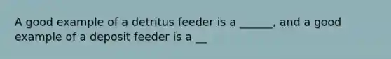 A good example of a detritus feeder is a ______, and a good example of a deposit feeder is a __