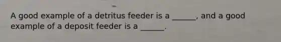 A good example of a detritus feeder is a ______, and a good example of a deposit feeder is a ______.