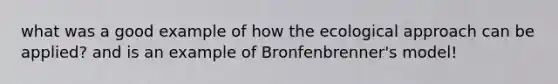 what was a good example of how the ecological approach can be applied? and is an example of Bronfenbrenner's model!