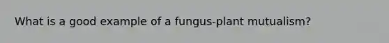 What is a good example of a fungus-plant mutualism?