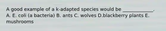 A good example of a k-adapted species would be _____________. A. E. coli (a bacteria) B. ants C. wolves D.blackberry plants E. mushrooms