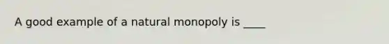 A good example of a natural monopoly is ____