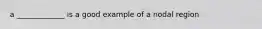 a _____________ is a good example of a nodal region