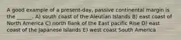 A good example of a present-day, passive continental margin is the ______. A) south coast of the Aleutian Islands B) east coast of North America C) north flank of the East pacific Rise D) east coast of the Japanese Islands E) west coast South America