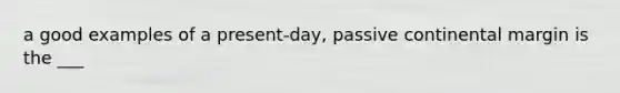 a good examples of a present-day, passive continental margin is the ___