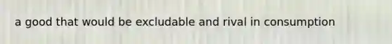 a good that would be excludable and rival in consumption