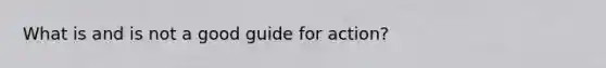What is and is not a good guide for action?
