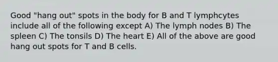 Good "hang out" spots in the body for B and T lymphcytes include all of the following except A) The lymph nodes B) The spleen C) The tonsils D) The heart E) All of the above are good hang out spots for T and B cells.