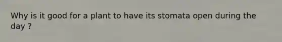 Why is it good for a plant to have its stomata open during the day ?