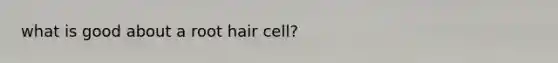 what is good about a root hair cell?