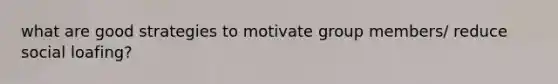 what are good strategies to motivate group members/ reduce social loafing?