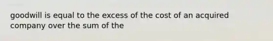 goodwill is equal to the excess of the cost of an acquired company over the sum of the