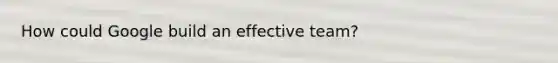 How could Google build an effective team?