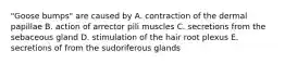 "Goose bumps" are caused by A. contraction of the dermal papillae B. action of arrector pili muscles C. secretions from the sebaceous gland D. stimulation of the hair root plexus E. secretions of from the sudoriferous glands