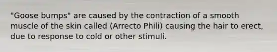 "Goose bumps" are caused by the contraction of a smooth muscle of the skin called (Arrecto Phili) causing the hair to erect, due to response to cold or other stimuli.