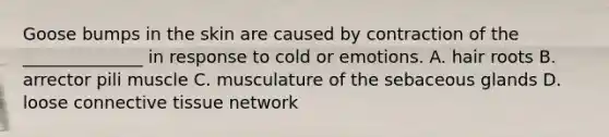 Goose bumps in the skin are caused by contraction of the ______________ in response to cold or emotions. A. hair roots B. arrector pili muscle C. musculature of the sebaceous glands D. loose connective tissue network