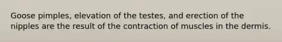 Goose pimples, elevation of the testes, and erection of the nipples are the result of the contraction of muscles in the dermis.