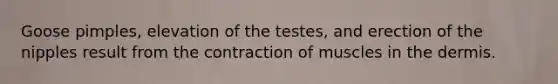 Goose pimples, elevation of the testes, and erection of the nipples result from the contraction of muscles in <a href='https://www.questionai.com/knowledge/kEsXbG6AwS-the-dermis' class='anchor-knowledge'>the dermis</a>.