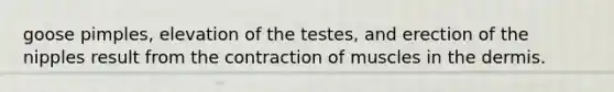 goose pimples, elevation of the testes, and erection of the nipples result from the contraction of muscles in the dermis.