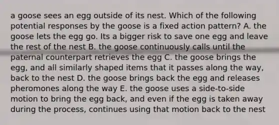 a goose sees an egg outside of its nest. Which of the following potential responses by the goose is a fixed action pattern? A. the goose lets the egg go. Its a bigger risk to save one egg and leave the rest of the nest B. the goose continuously calls until the paternal counterpart retrieves the egg C. the goose brings the egg, and all similarly shaped items that it passes along the way, back to the nest D. the goose brings back the egg and releases pheromones along the way E. the goose uses a side-to-side motion to bring the egg back, and even if the egg is taken away during the process, continues using that motion back to the nest