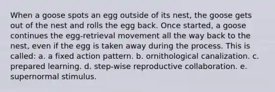 When a goose spots an egg outside of its nest, the goose gets out of the nest and rolls the egg back. Once started, a goose continues the egg-retrieval movement all the way back to the nest, even if the egg is taken away during the process. This is called: a. a fixed action pattern. b. ornithological canalization. c. prepared learning. d. step-wise reproductive collaboration. e. supernormal stimulus.