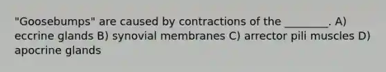"Goosebumps" are caused by contractions of the ________. A) eccrine glands B) synovial membranes C) arrector pili muscles D) apocrine glands