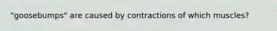 "goosebumps" are caused by contractions of which muscles?