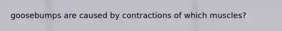 goosebumps are caused by contractions of which muscles?