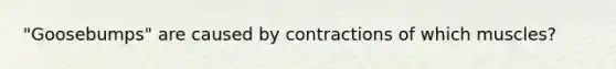 "Goosebumps" are caused by contractions of which muscles?