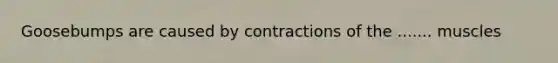 Goosebumps are caused by contractions of the ....... muscles