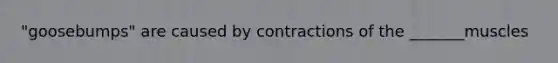 "goosebumps" are caused by contractions of the _______muscles