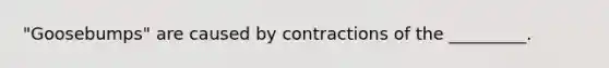 "Goosebumps" are caused by contractions of the _________.