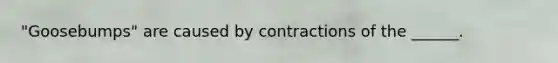"Goosebumps" are caused by contractions of the ______.