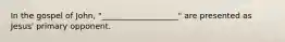 In the gospel of John, "___________________" are presented as Jesus' primary opponent.